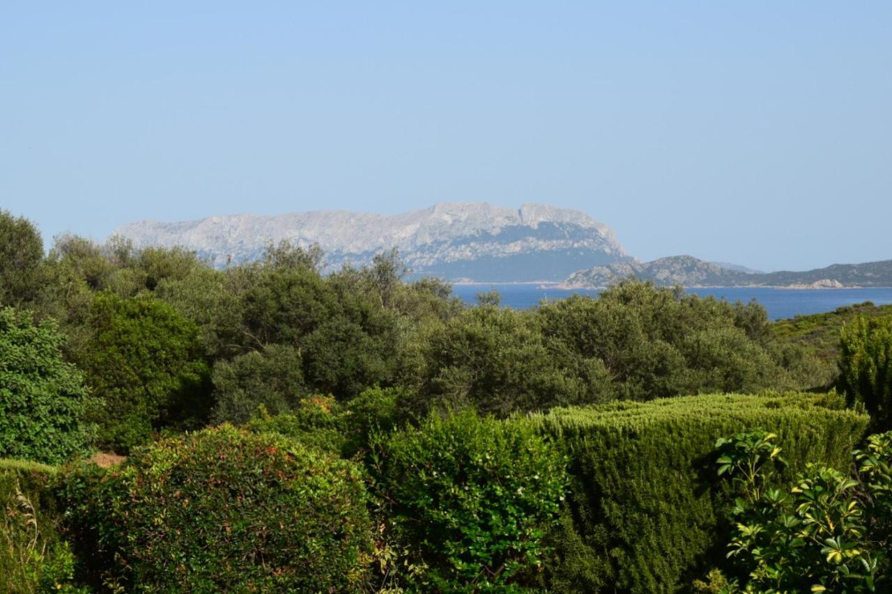 Sa Domitta Di Suiles Apartment Olbia Luaran gambar