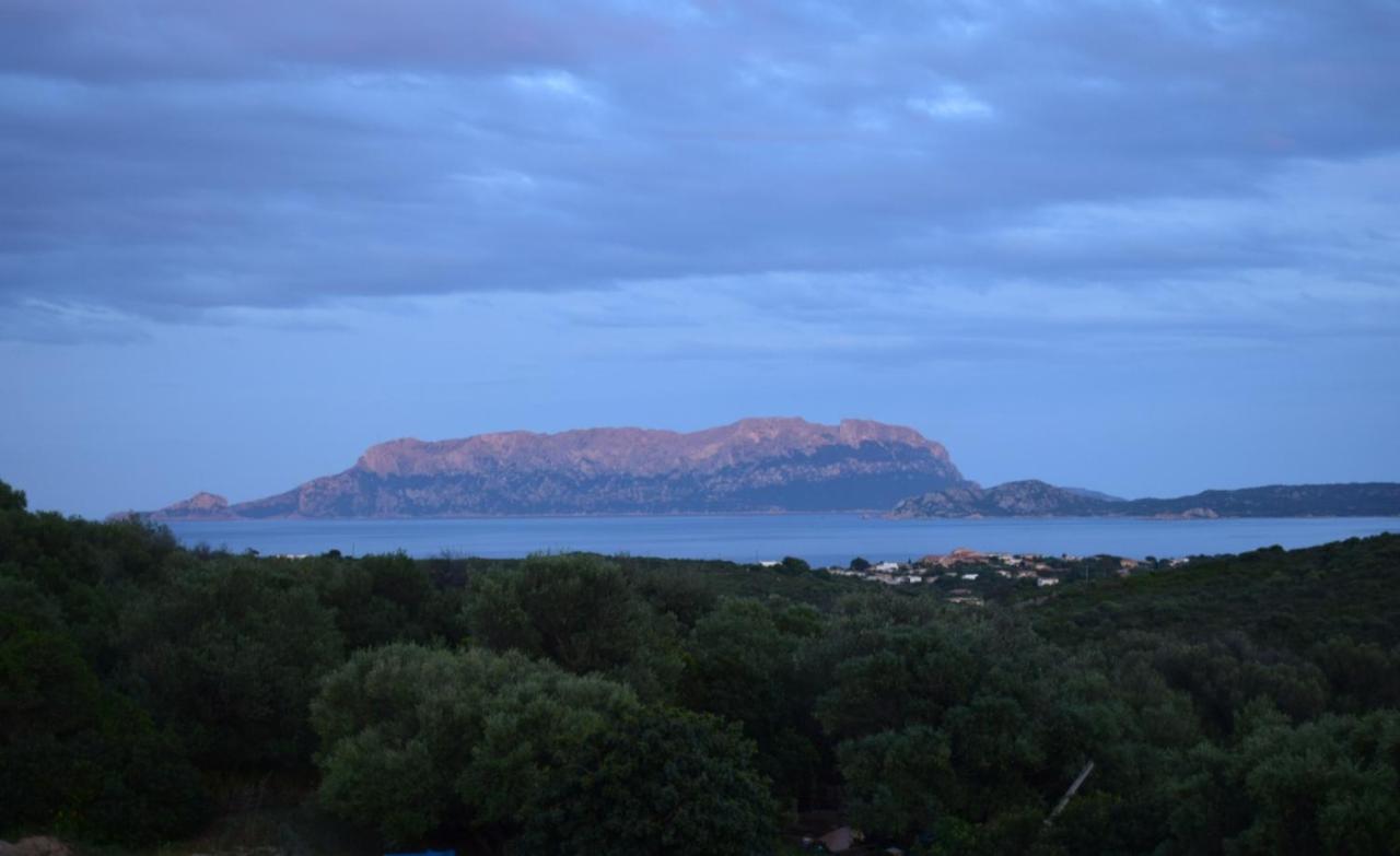 Sa Domitta Di Suiles Apartment Olbia Luaran gambar